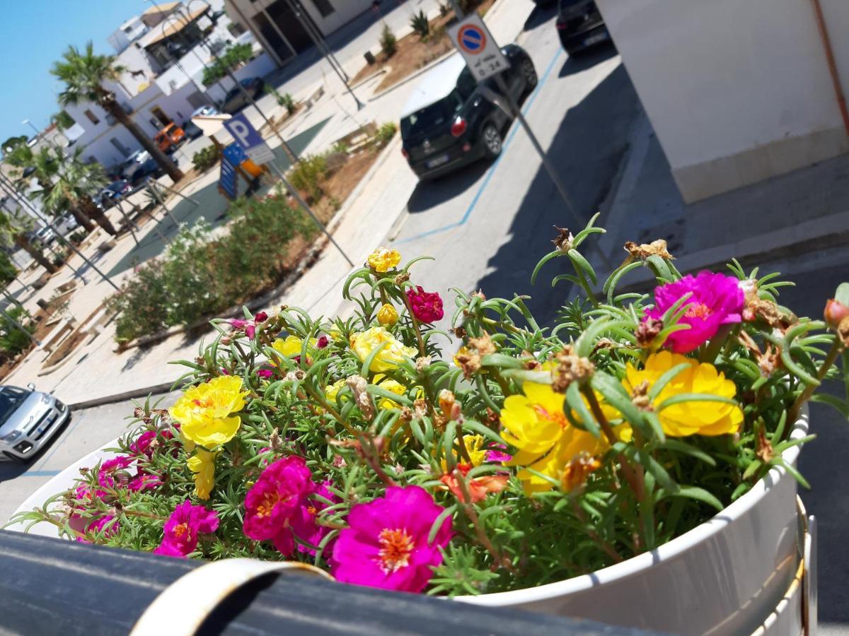 Appartement Finestra Azzurra à San Vito Lo Capo Extérieur photo