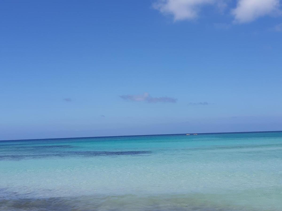 Appartement Finestra Azzurra à San Vito Lo Capo Extérieur photo
